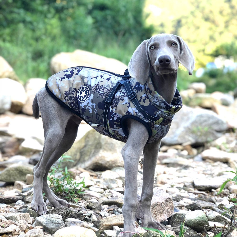 Camouflage Big Dog Shell Jacket front view