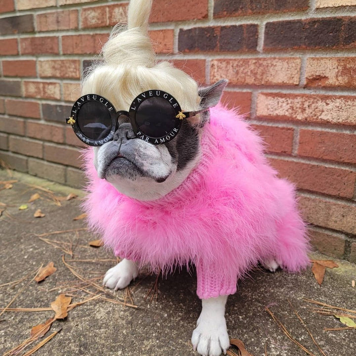 Luxury Dog Sweater for Autumn and Winter - Lady Turkey