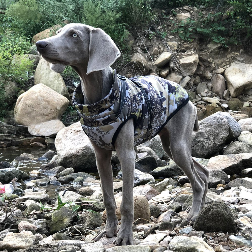 Camouflage Big Dog Shell Jacket