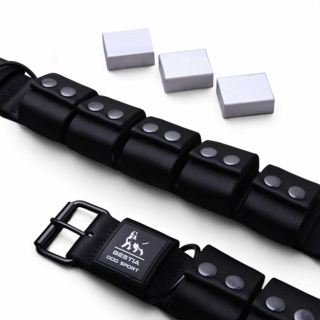 Weighted dog training collar. Large breeds. 5 lbs total.