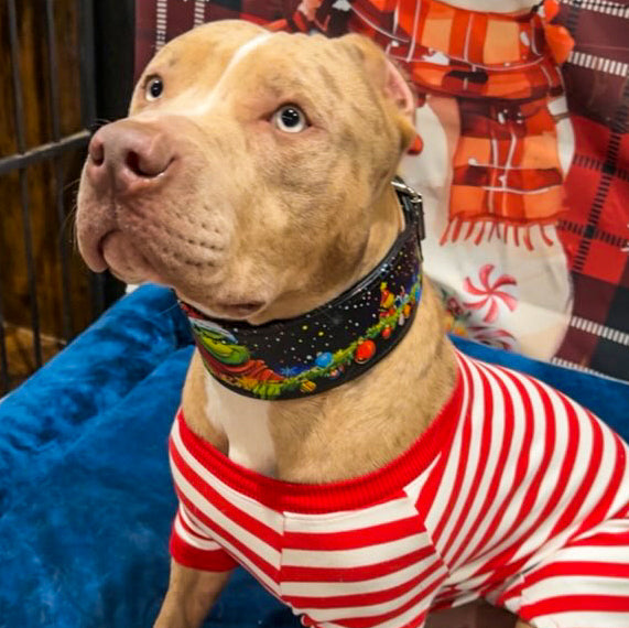 The Grinchmas Limited Collar