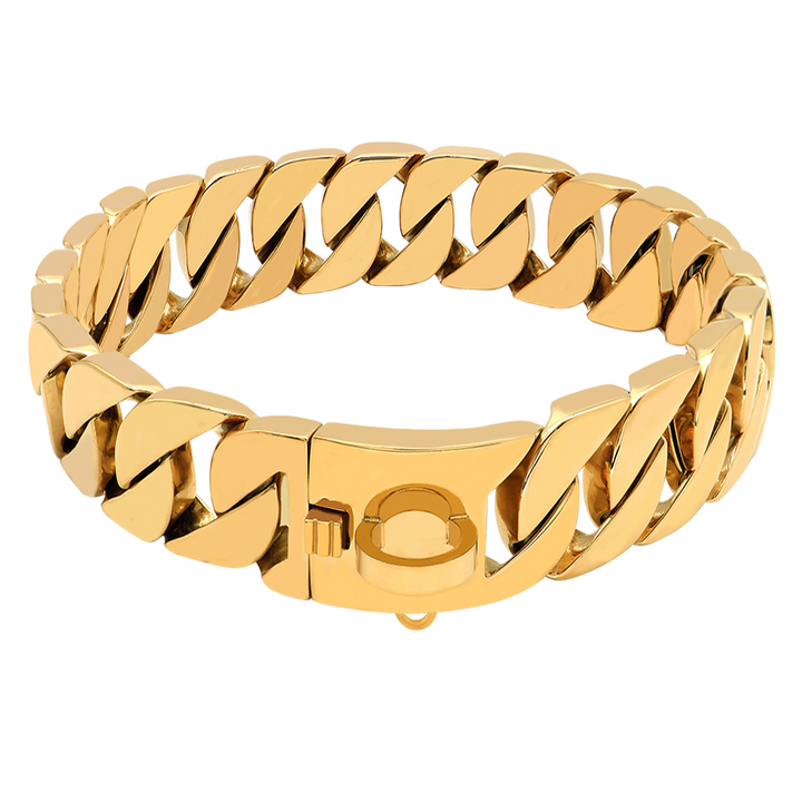 Stainless Steel Cast Dog Collar