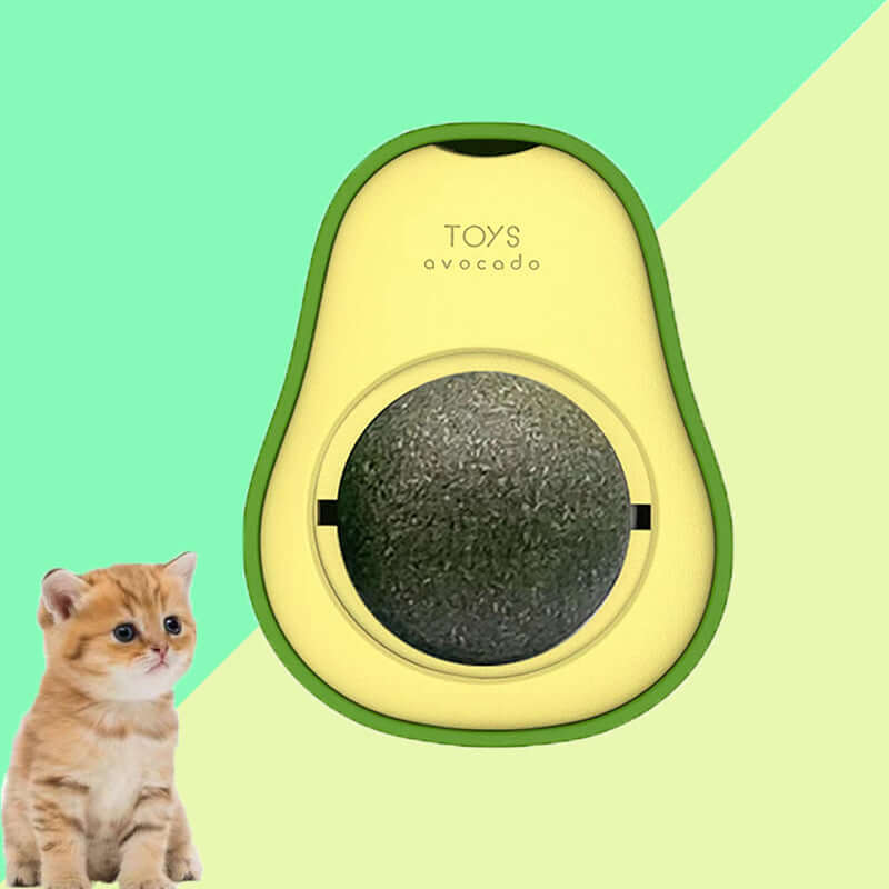 Avocado Cat Mint
