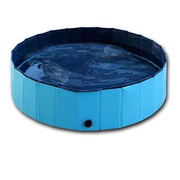 Pet Pool Dog
