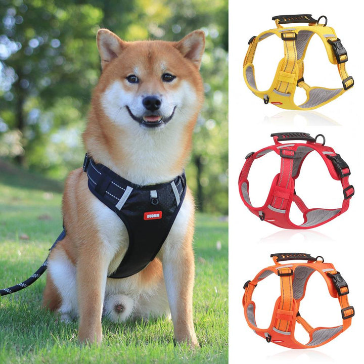 Nylon Dog