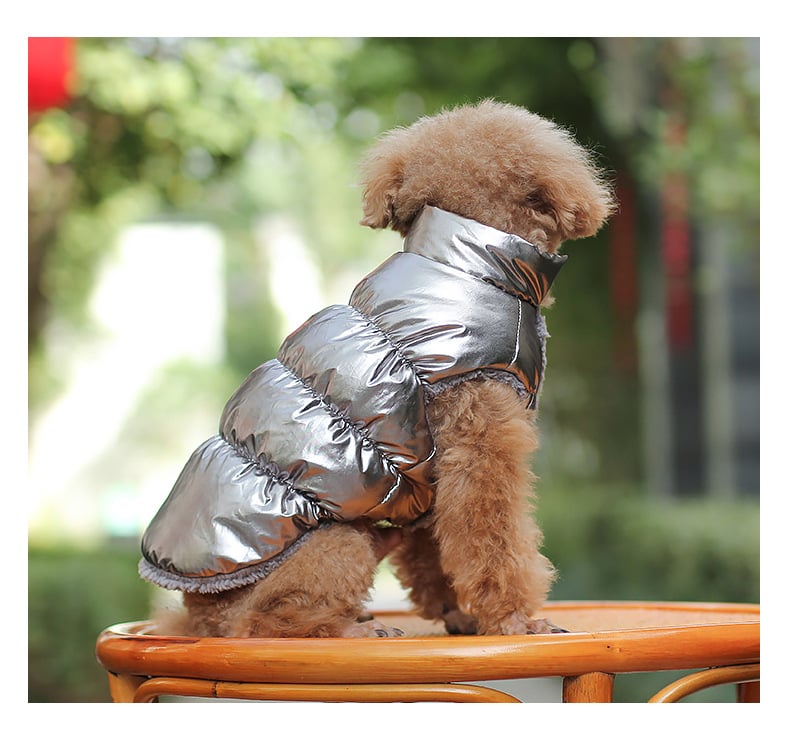 Warm Winter Puppy Teddy Waistcoat and Cat Clothes