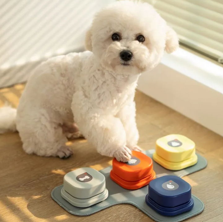 Pet Toy is an engaging accessory