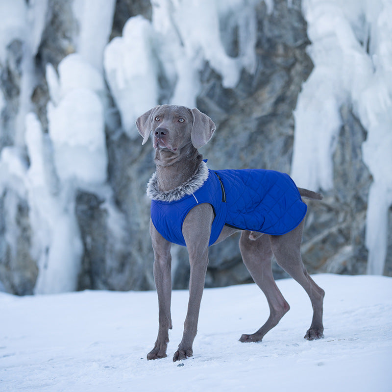 Pet Clothing Cotton Coats Wholesale, Winter