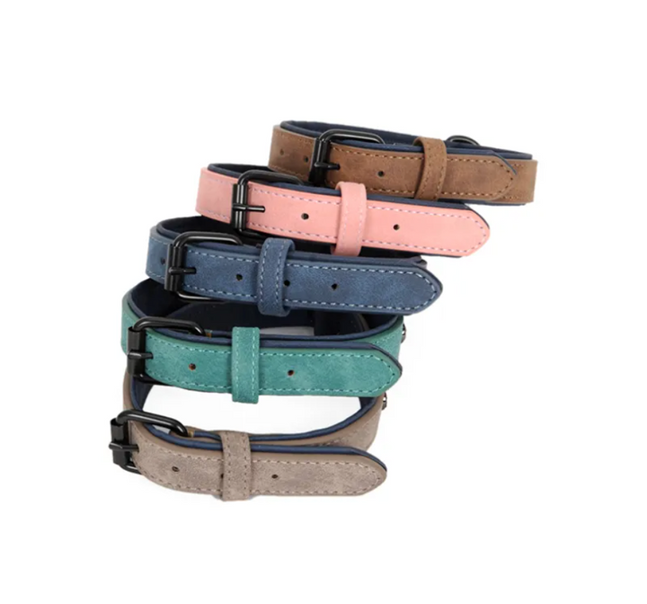 Adjustable Dog Collar &amp; Leash Set