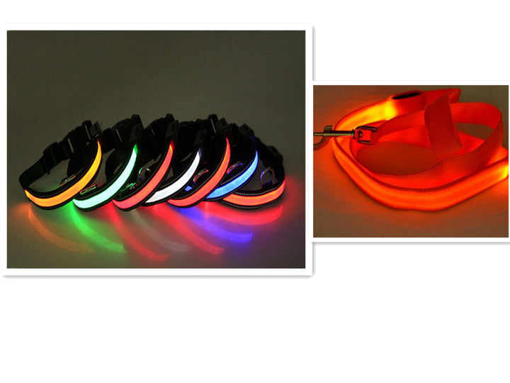 LED Dog Leash with Fluorescent Dog Collar