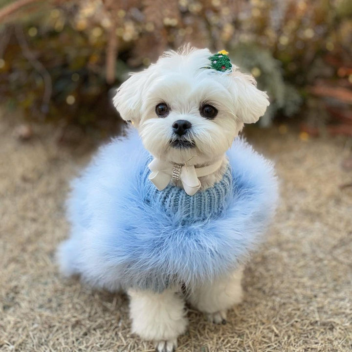 Luxury Dog Sweater for Autumn and Winter - Lady Turkey