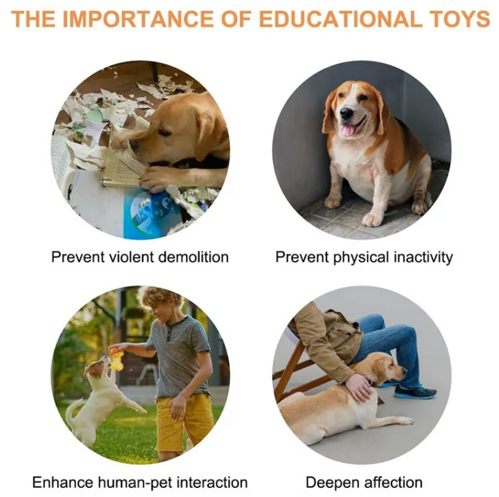 Pet Toy is an engaging accessory
