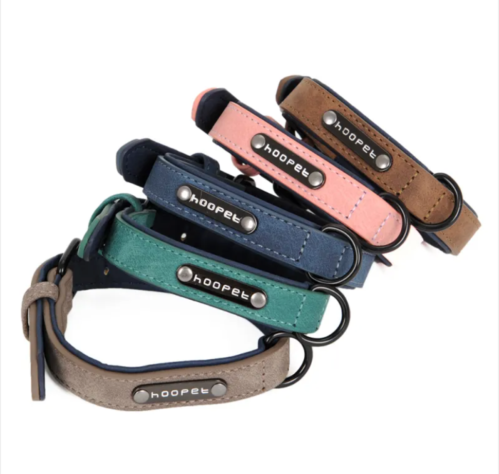 Adjustable Dog Collar &amp; Leash Set