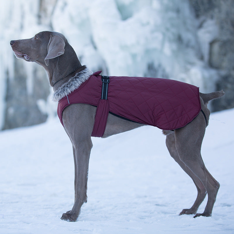 Pet Clothing Cotton Coats Wholesale, Winter