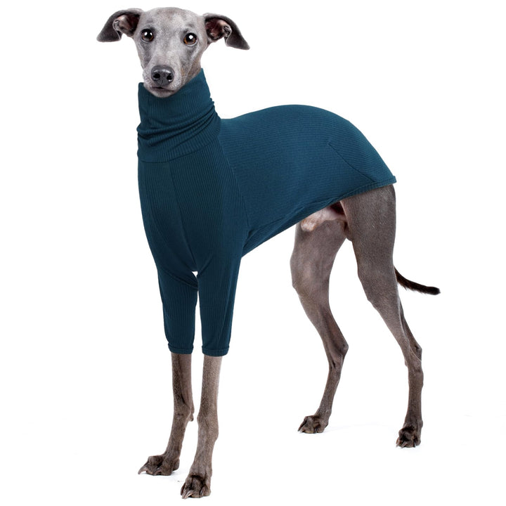 IECOii Greyhound CoatGreyhound Sweater for Dogs MediumWhippets Sweater Turtleneck Dog Sweatshirt for Italian GreyhoundPullover Greyhound Pajamas Lurcher ShirtLong Sleeve Saluki Sweater JumperM