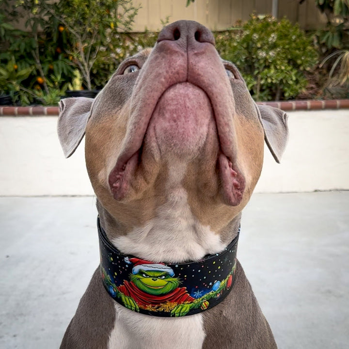 The Grinchmas Limited Collar