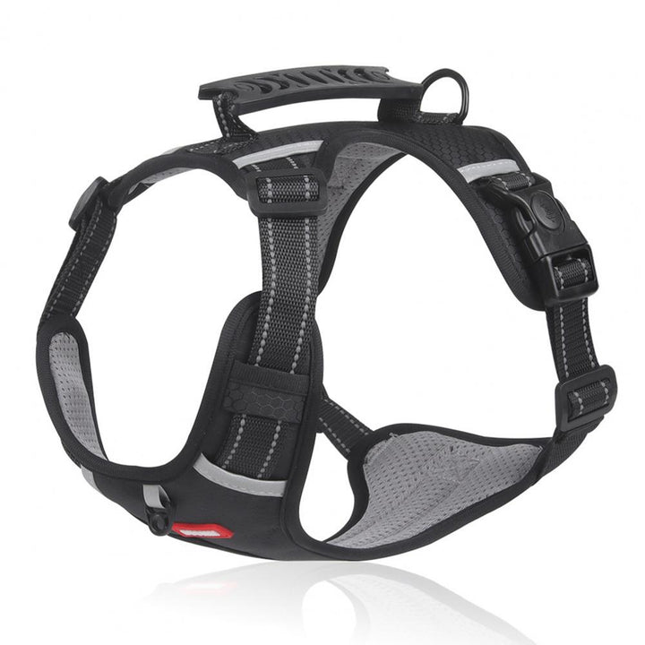 Nylon Dog