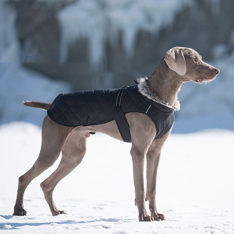 Pet Clothing Cotton Coats Wholesale, Winter