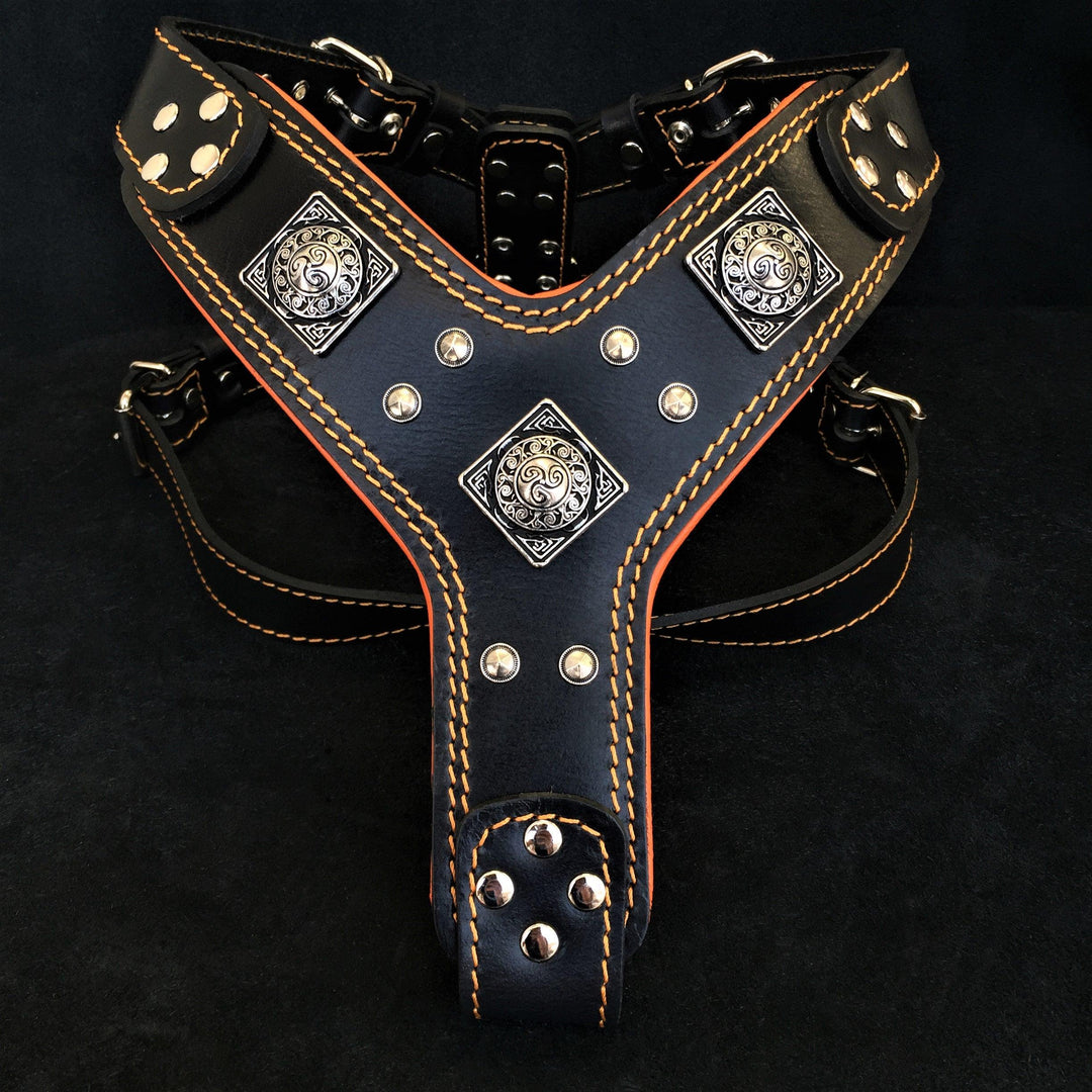 The "Eros" harness Black &amp; Orange
