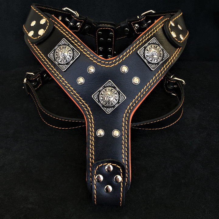 The "Eros" harness Black &amp; Orange