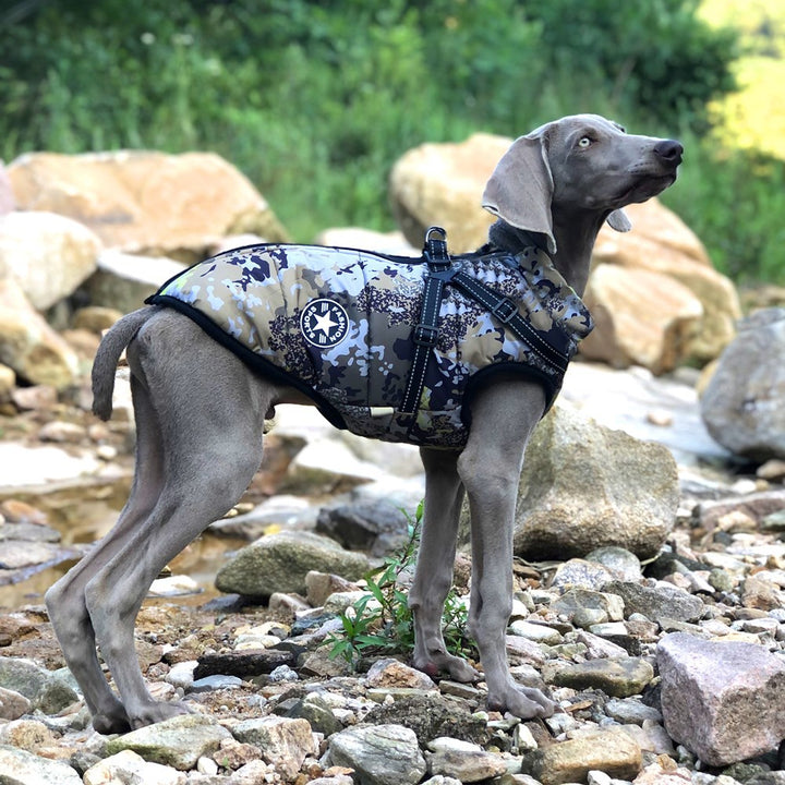 Camouflage Big Dog Shell Jacket