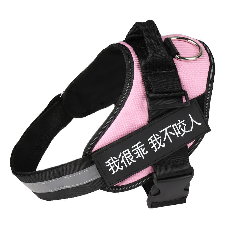 Personalized Dog Harness