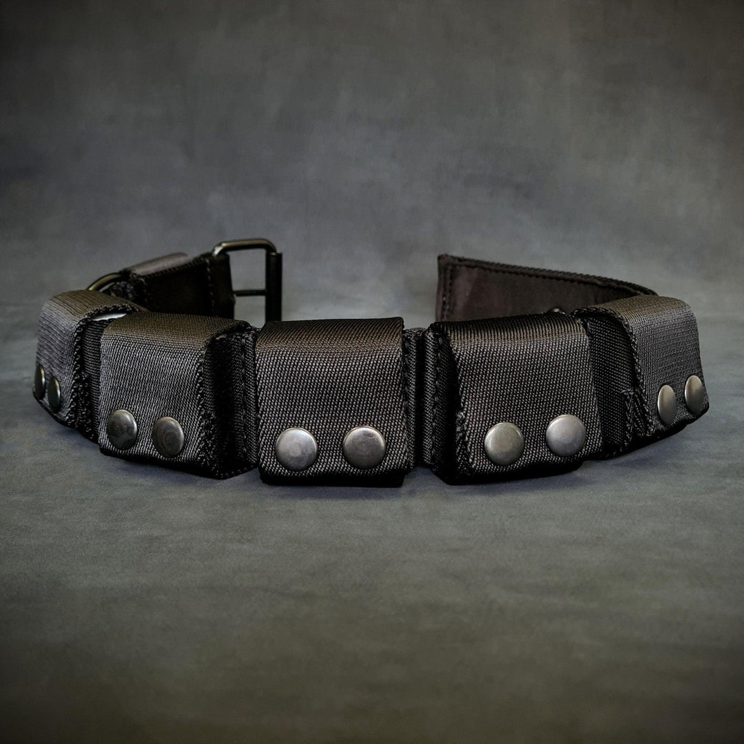 Weighted dog training collar. Large breeds. 5 lbs total.