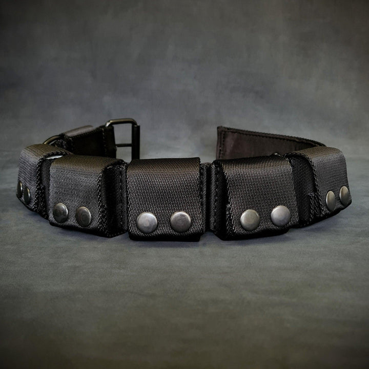 Weighted dog training collar. Large breeds. 5 lbs total.