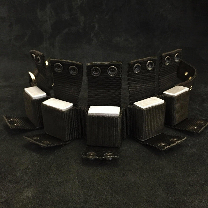 Weighted dog training collar. Large breeds. 5 lbs total.